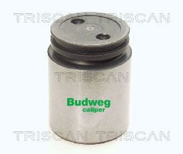 Triscan Kolben Bremssattel 8170 233842 FüR CitroËN Opel Renault Ford CC Mazda 3-image
