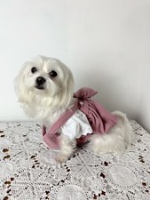 Vestito Per Cani Da Signorina  , Fiori , Cani ,Gatti , Natura , Correre