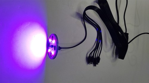 5X Zimmergewächshaus Anzuchtkasten Mini Gewächshaus Anzucht Set mit 8LED lampe - Bild 8 von 24
