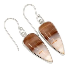 Natural Petrified Wood - Navajo County 925 Silver Earrings Jewelry ALLE-19608