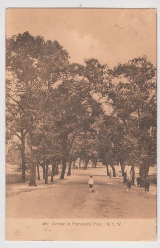 NSW - "Avenue, Parramatta Park" sepia tinted vintage postcard, used 1906