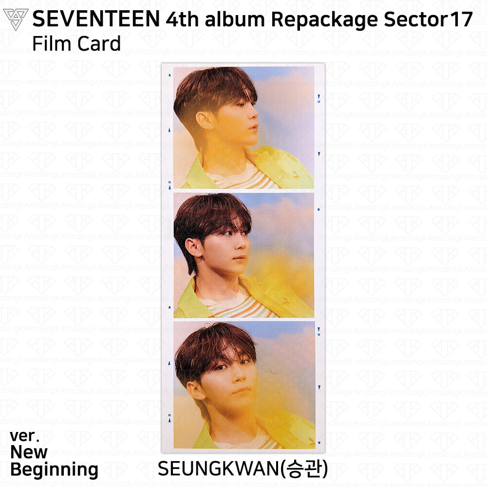 seventeen ホシ sector17 トレカ ステッカー ヨントン セット