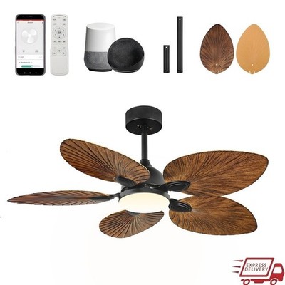 42in LED Ceiling Fan Smart Control Dimmable Light Whisper Quiet DC Motor Indoor