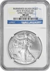 2015-W $1 American Silver Eagle Burnished MS69 Early Releases NGC