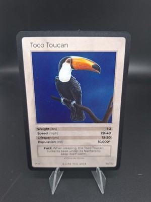 Life Tcg Birds : Toco Toucan HOLO 39/130