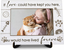 Cat Memorial Pictures Frame, If Love Could Have Kept You Here You Would Lived Fo