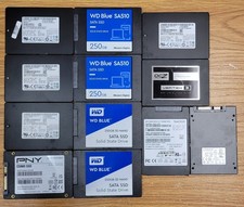 Lot of 12 - Mixed Brand 256GB 2.5" SATA SSD - Western Digital, Samsung & more