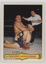 1985 O-Pee-Chee WWF The Iron Sheik The Hulk Hogan #49 HOF 04zt