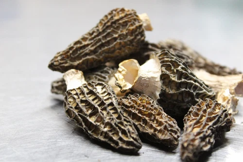 Dried Wild Morel Mushrooms 1 oz. (Harvested July, 2024 - Kalispell, Montana)