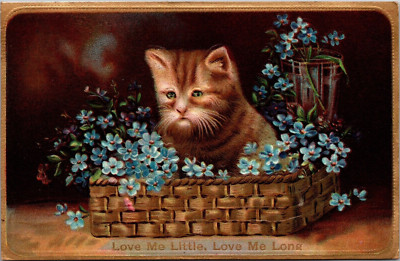 Postcard Cat in Flower Basket Love Me Little Love Me Long Embossed New York 1910