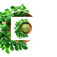 Moringa Leaf Organic Powder Dried Oleifera 100% Natural Leaves Drumstick Pure
