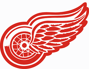 Image result for detroit red wings logo