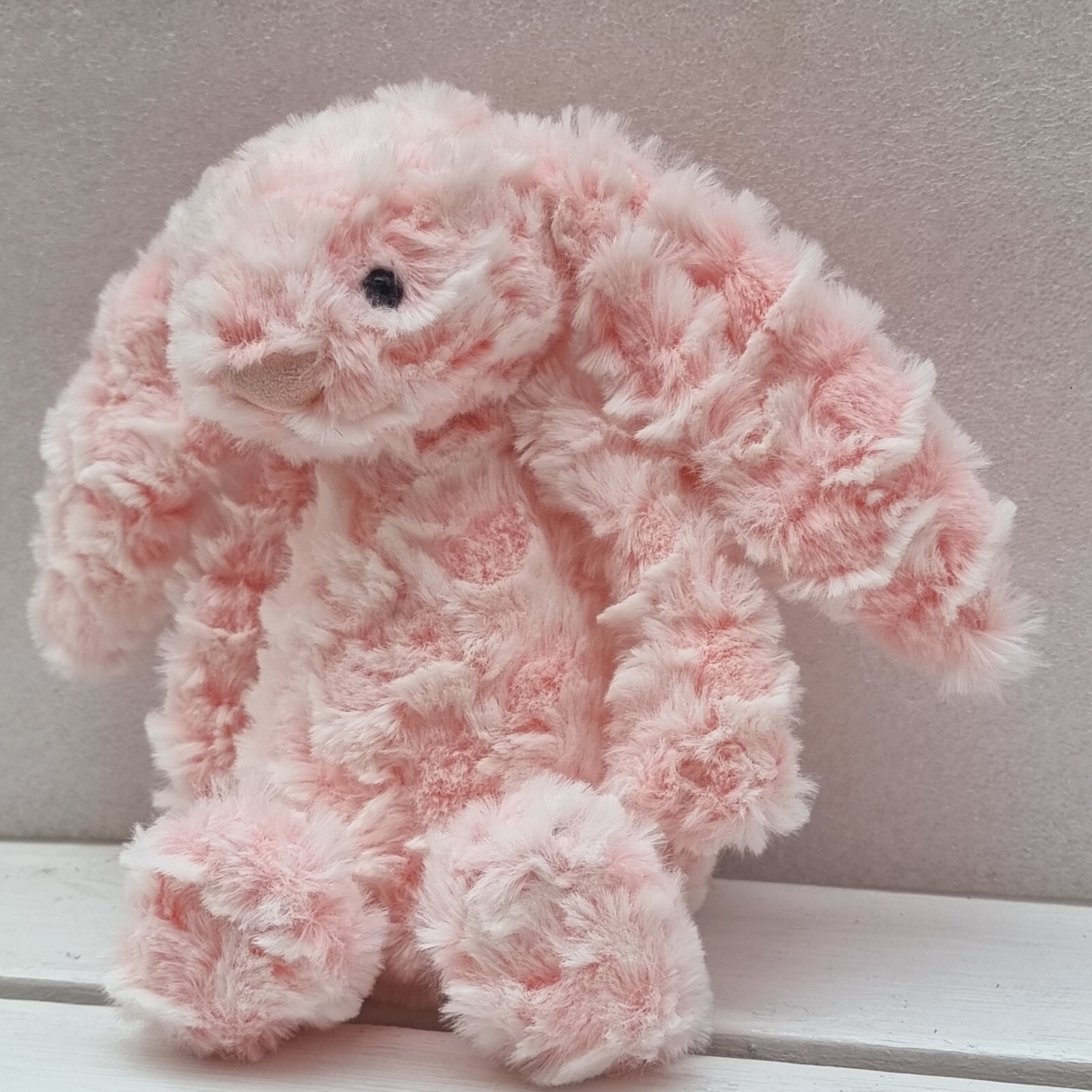 NEW JELLYCAT Rare Special Edition Gigi Bashful Bunny pa eBay