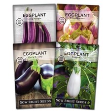 - Eggplant Seed Collection for Planting - Black Beauty, Casper, Rosa Bianca
