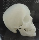 Ltd Ed Skull Ornament - 3D Printed in Luminous Green, Goth, Horror, Halloween