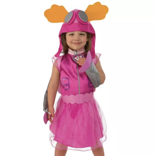Paw patrol dress sales 4t