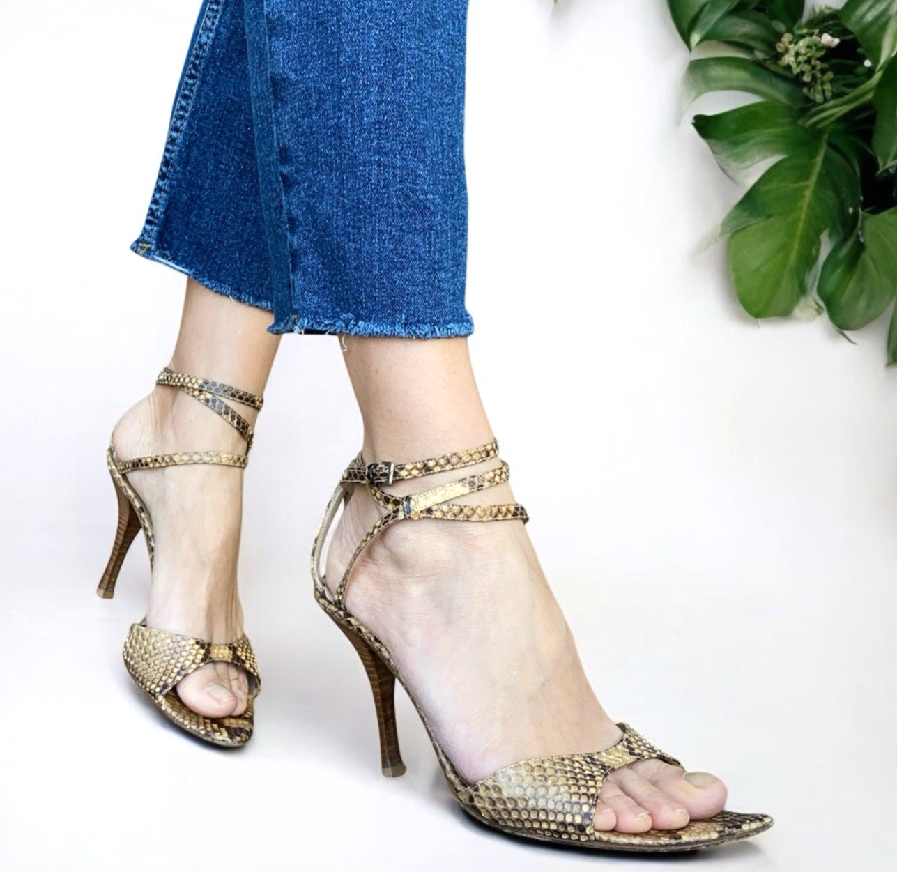 SERGIO ROSSI Beige Python Leather Ankle Strap Hee… - image 2