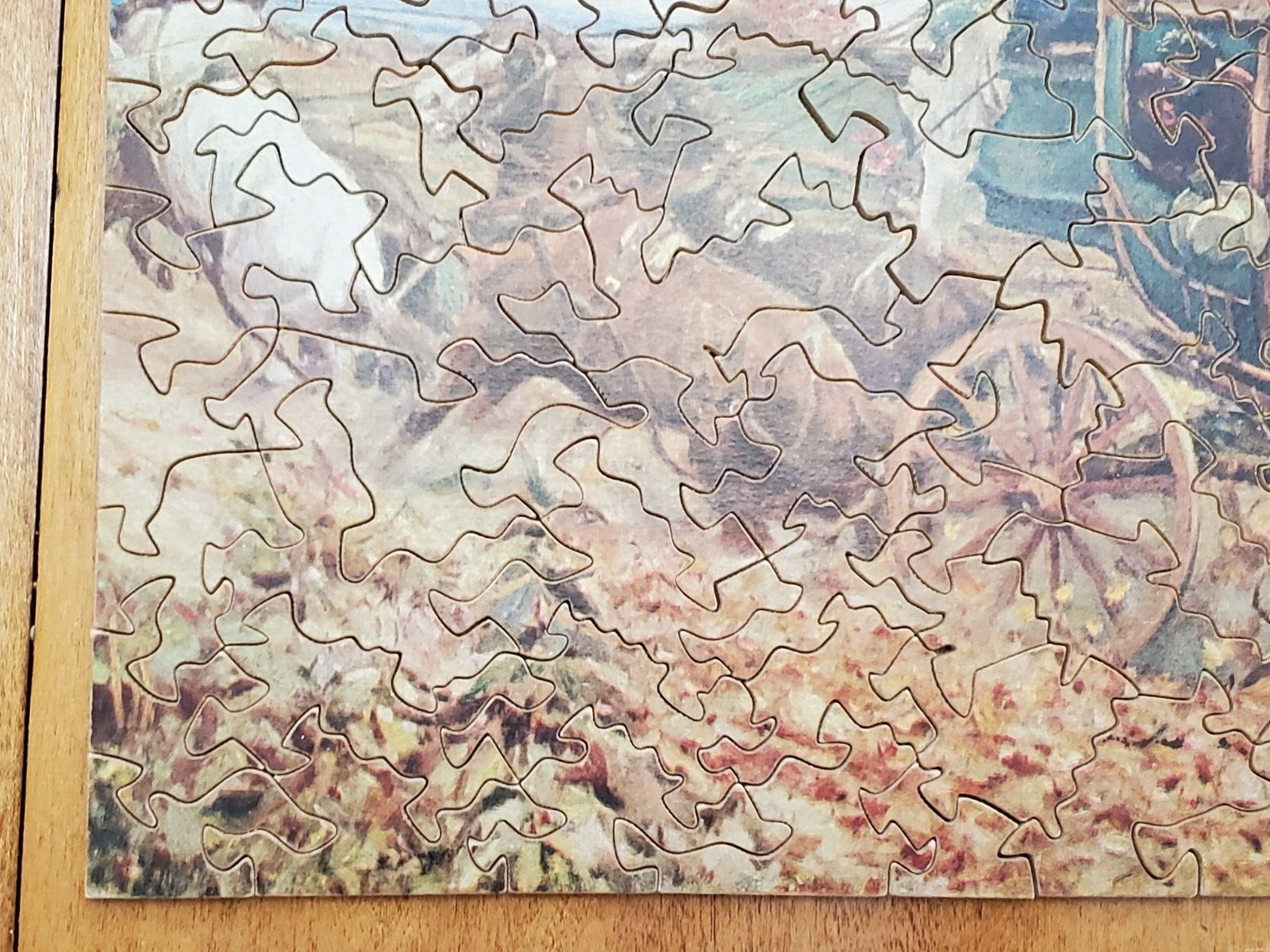 Picture 8 of 16