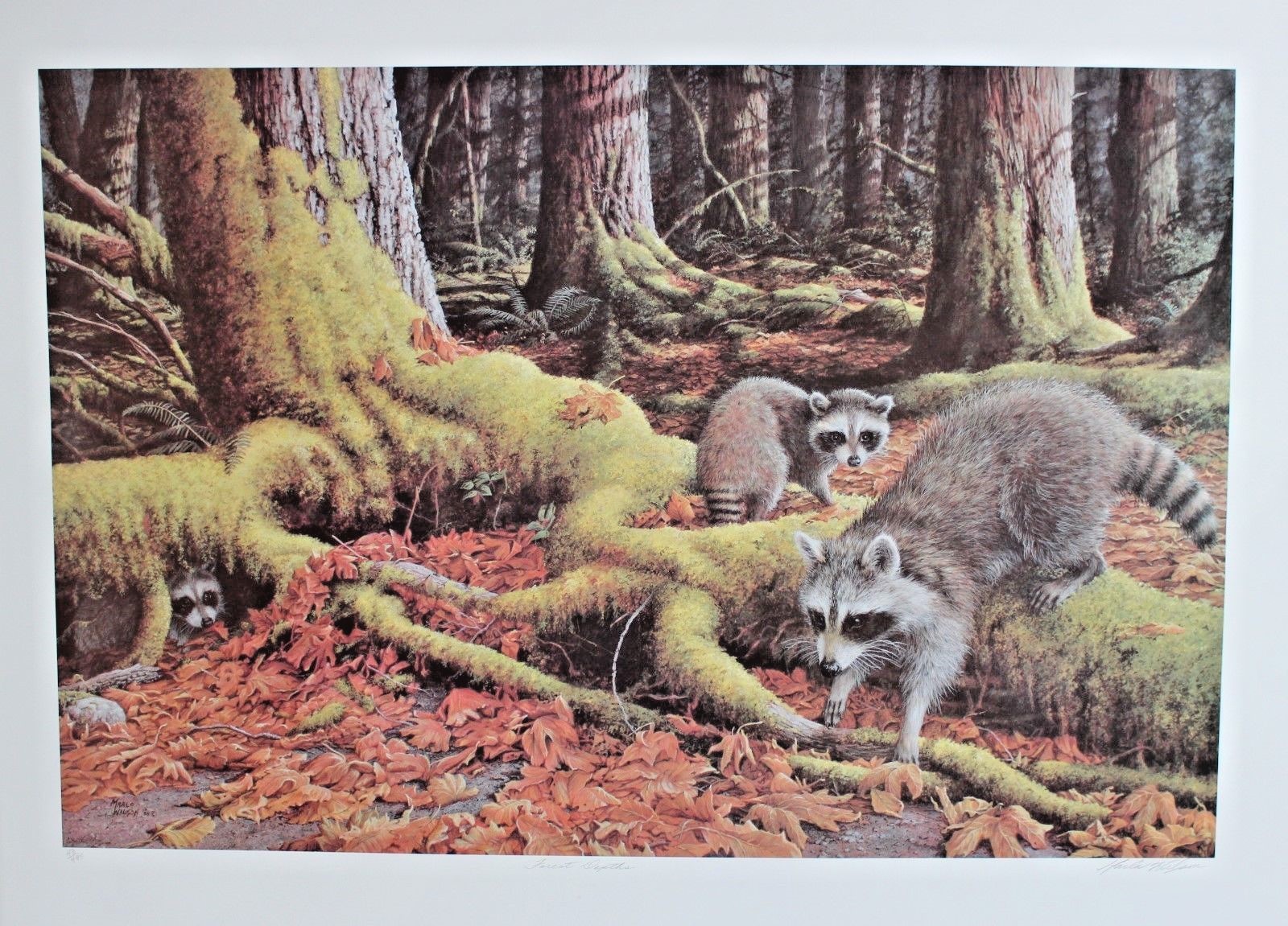 Picture 1 of 4