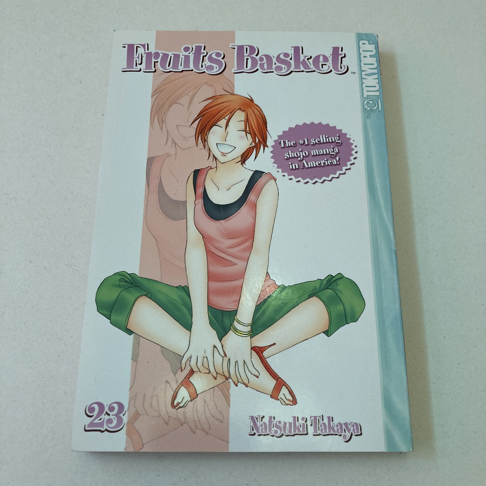 Fruits Basket Vol. 23 by Natsuki Takaya (Paperback, 2009)