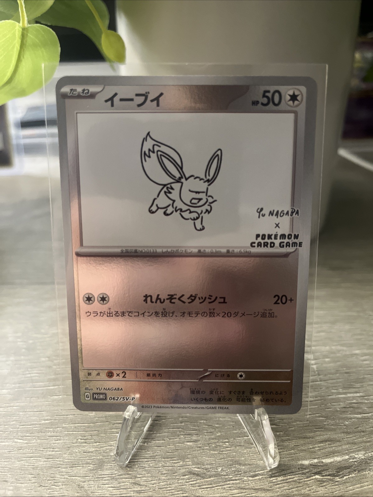CLEAN YU NAGABA EEVEE PROMO #062/Sv-p Pokemon Card NM PACK FRESH