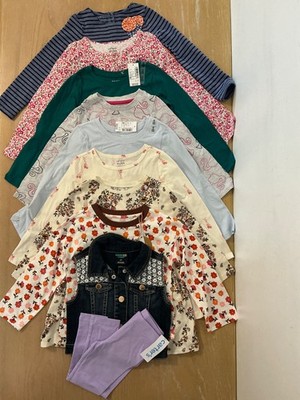 Carter's, Children's Place, Others Toddler Girls Clothing Lot of 10 Size 4T