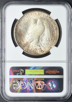 1923-S Peace Silver Dollar - NGC MS64 - ✪COINGIANTS✪ | eBay
