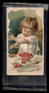 RASPBERRIES 1891 N12 Allen & Ginter Fruits
