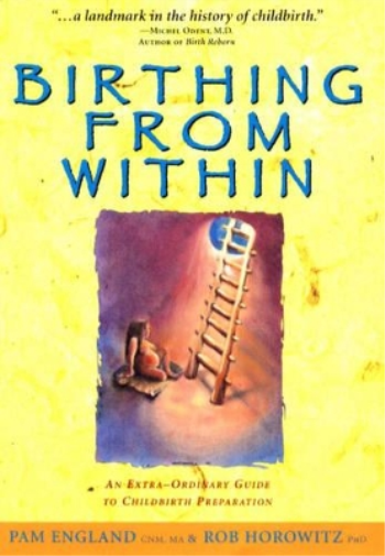 Rob Horowitz Pam England Birthing from within (Copertina rigida)