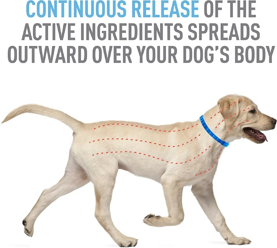 Collar Para Pulgas De Perros Antipulgas Y Garrapatas Proteccion Por 7 Meses - Image 4 of 4
