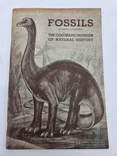 Fossils by Harvey C Markman PB The Colorado Museum Of Natural History 1945