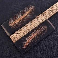 Custom Made Pine Cones Resin Pair Scales For Knife Making Handle