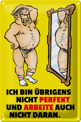 Blechschild Spruch 20x30 cm ch bin übrigens nicht perfekt Deko Schild tin sign