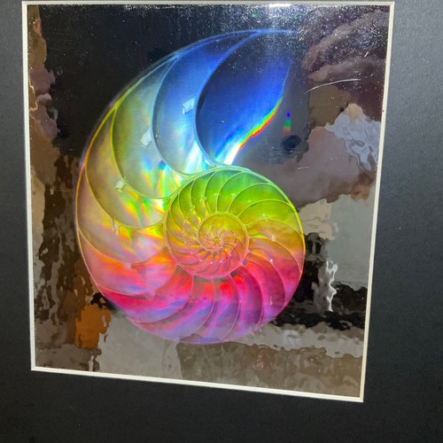Embossed Hologram - Nautilus Shell - Vintage - Art - 3D - Matted - Rare!