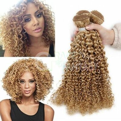 3pcs Grace Fantasy Hair Mongolian Human Hair Ombre Kinky Curly Weft #27 Blonde