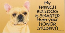 My FRENCH BULLDOG is Smarter than your HONOR STUDENT car magnet 4x8 dog breed