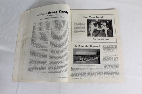 Guernsey Breeders Journal December 15, 1943 Cow Calf Bull Farms Cattle Dairy Ad - Imagen 12 de 21
