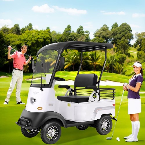 Electric Golf Cart Passenger Cruiser, with Extra Large Capacity Storage Trunk - Picture 2 of 9
