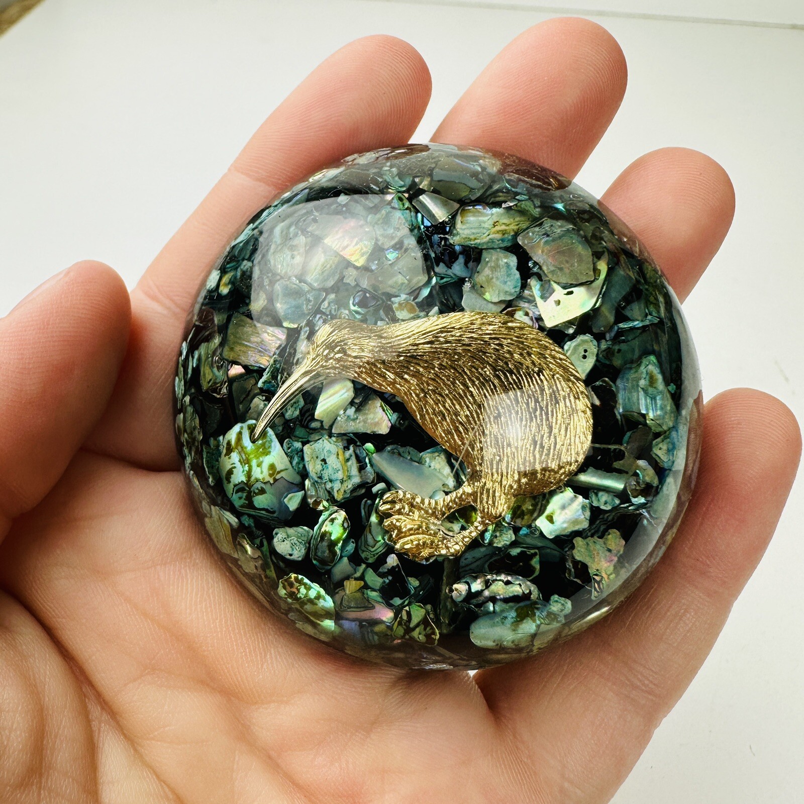 New Zealand Souvenir Abalone Paua Shell Kiwi Bird Decorative