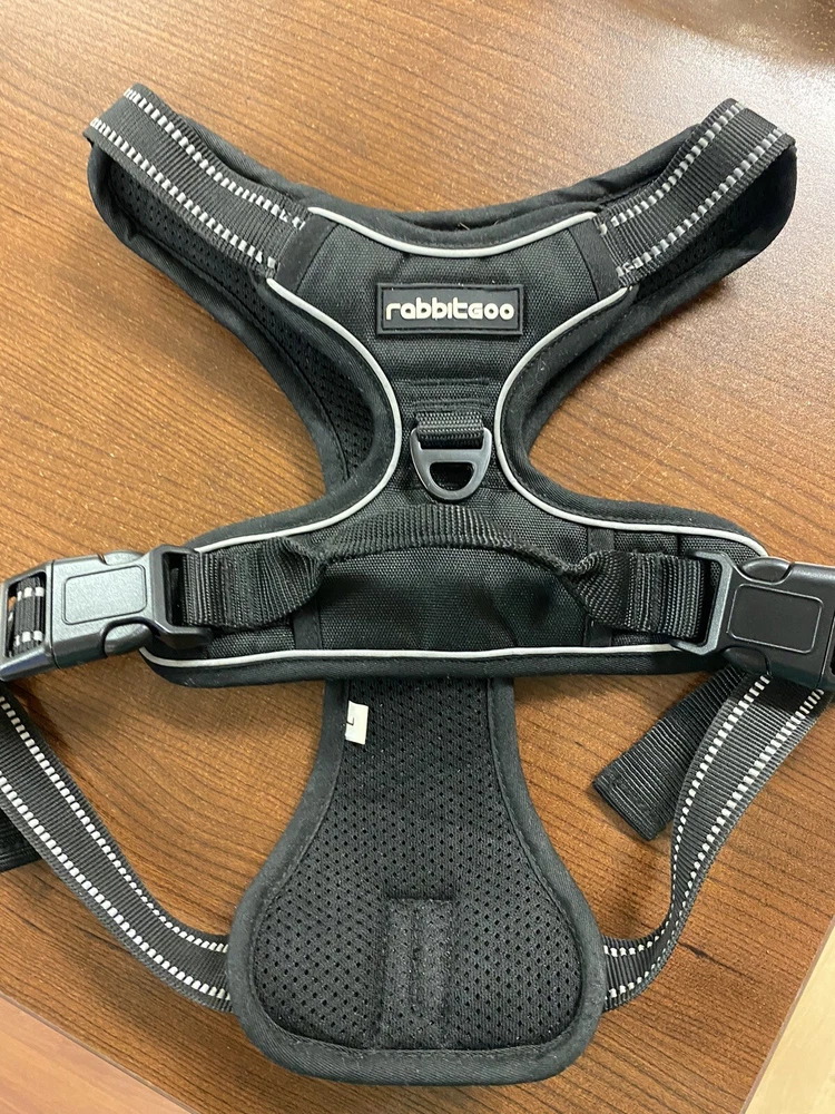 Dog Harness Rabbit Go Large!  New!!!/ Black Dogs Up To 75 Lbs