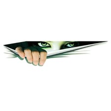Aufkleber XXL Augen Sticker Monster Voyeur Emblem Grün Eys Style Auto 39cm