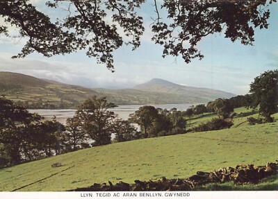 WALES POSTKARTE Bala Lake Llyn Tegid Ac Aran Benllyn Gwynedd walisische Richter UK