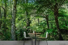 3D Jungle Pathway Wallpaper Wall Mural Removable Self-adhesive Sticker2711