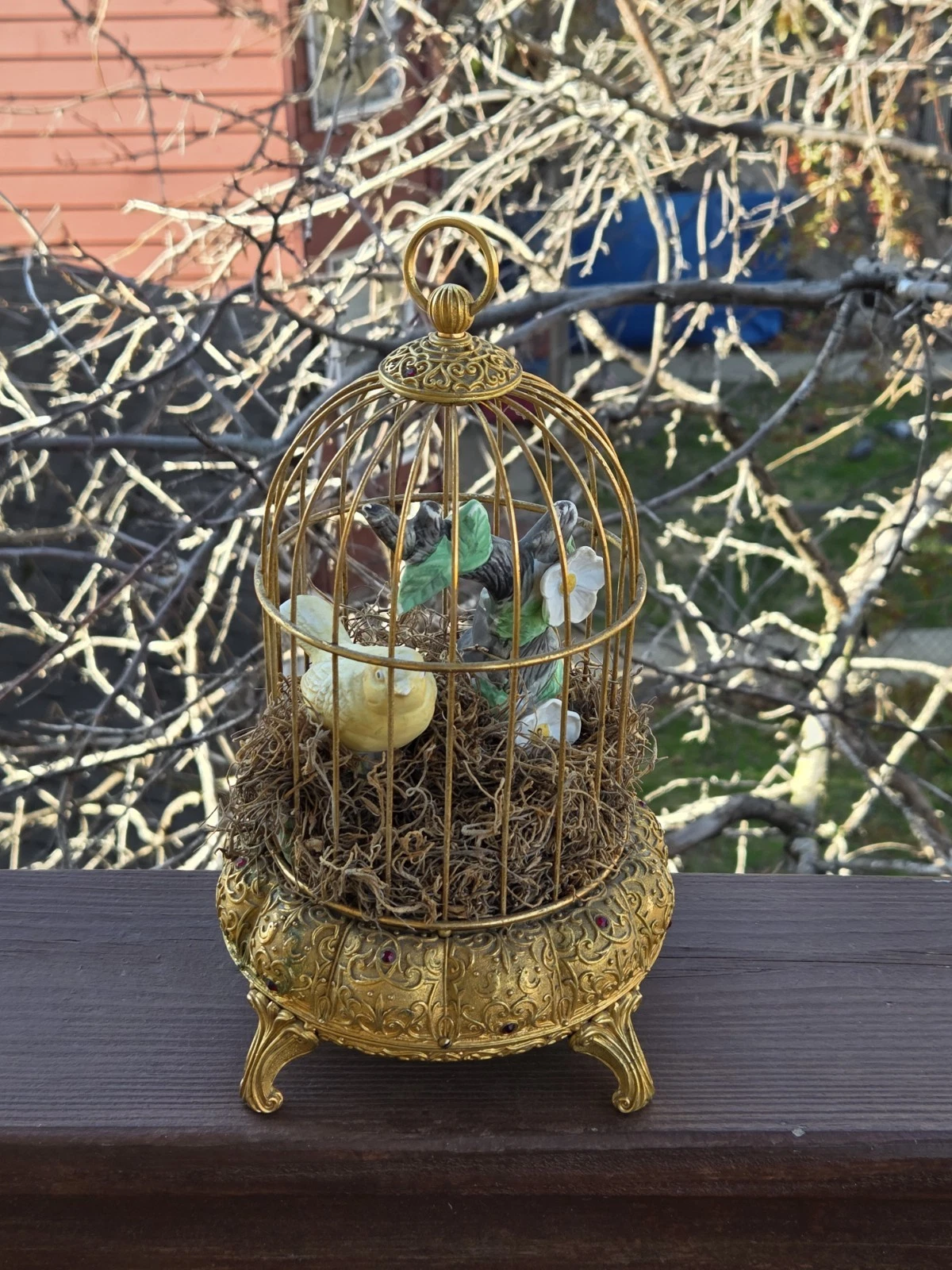 Antique German Jeweled Bird Cage - Ceramic Bird with Natural Decor, 10in Height
Opens in a new windo