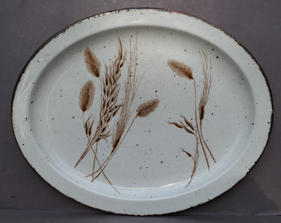 Midwinter Stonehenge WILD OATS Fleischplatte Servierplatte 34,5 x 27,5 exzellent
