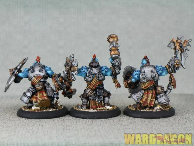 40 mm Hordas WDS pintado Trollbloods Trollkin Warders u51 Foto 3 de 4
