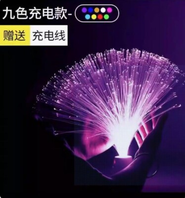 LED fiber optic flower lanterns colorful dnight lights