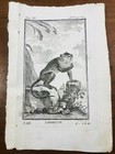Photo 3/3