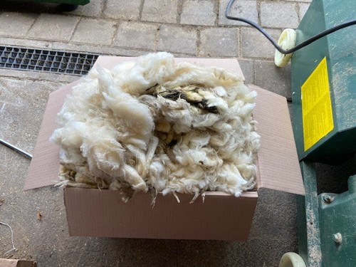 Schafwolle 🐑 Rohwolle, unsortiert, ungereinigt, naturbelassen, Dünger