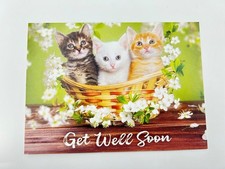 SPCA Get Well Soon Greeting Card Three Kittens in Basket Floral Theme